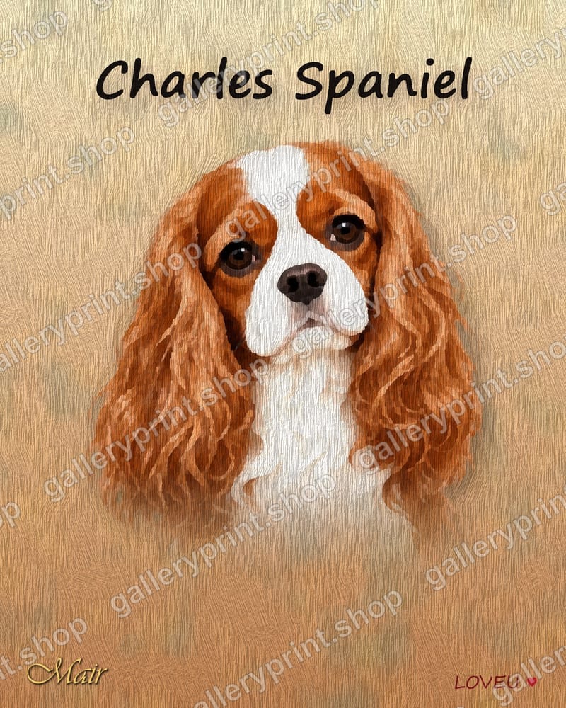 Cavalier King Charles Spaniel Oil Painting Portrait – printable wall art