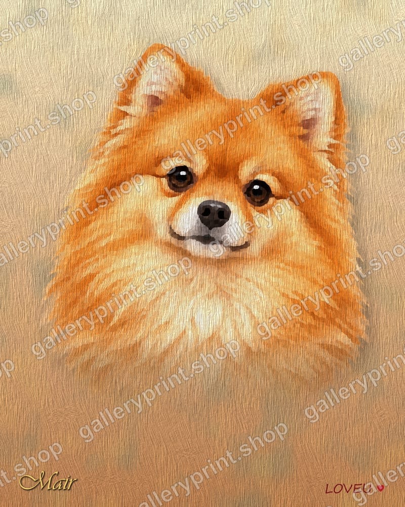 Pomeranian Oil Painting Portrait – printable wall art