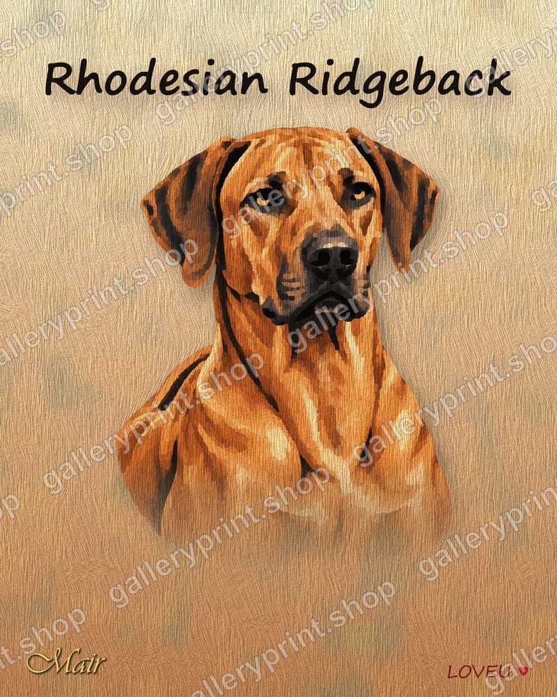 Rhodesian Ridgeback Oil Painting Portrait – printable wall art