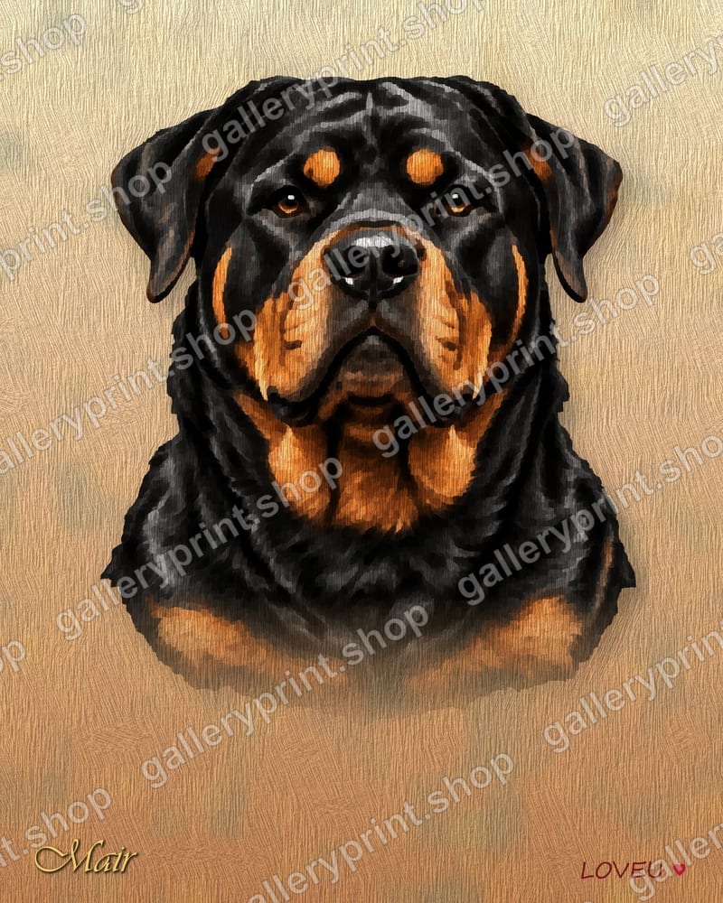Rottweiler Oil Painting Portrait – printable wall art