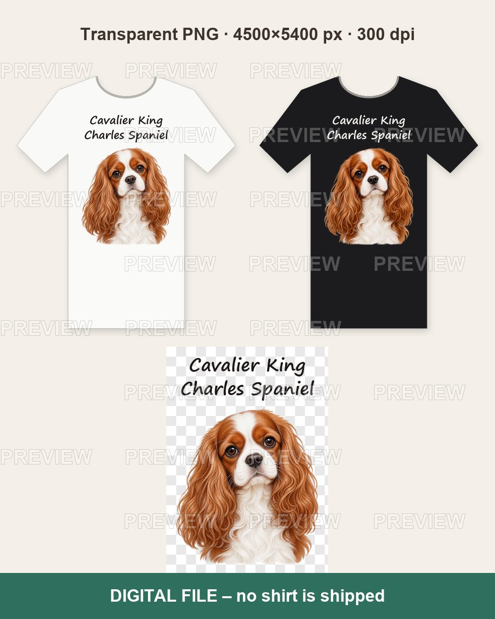 Cavalier King Charles Spaniel – T-shirt design PNG