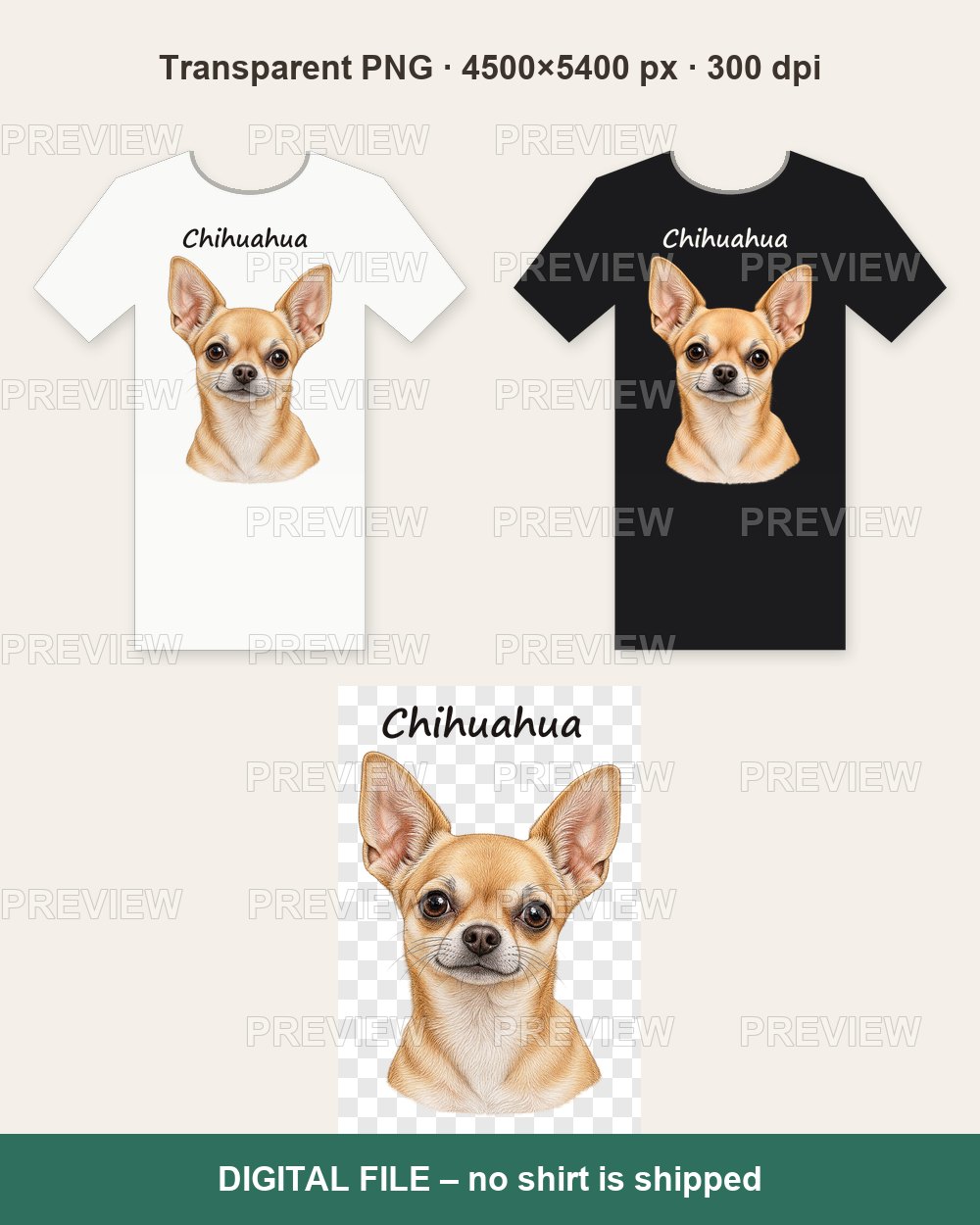Chihuahua Portrait – T-shirt design PNG