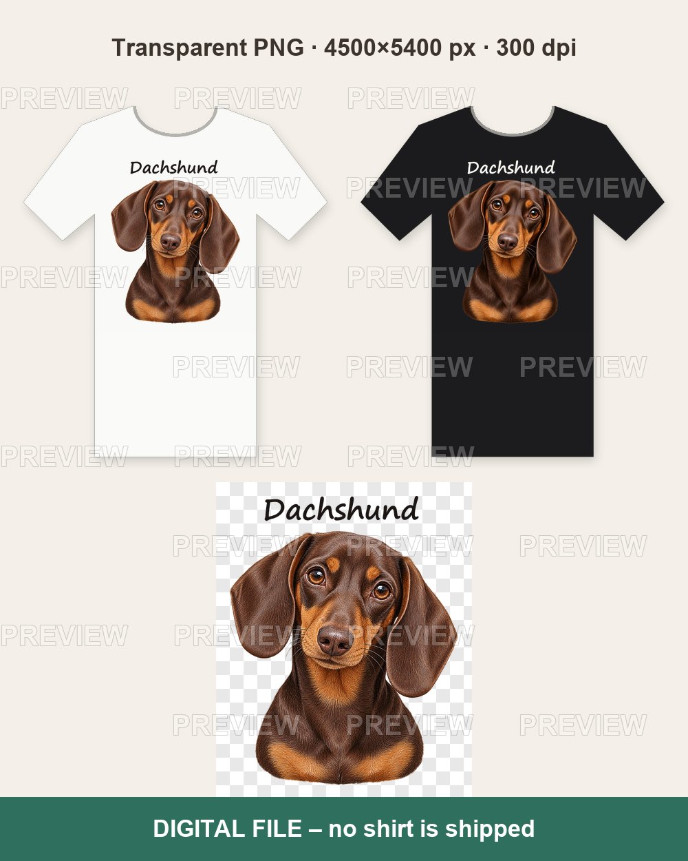 Chocolate Dachshund Portrait – T-shirt design PNG