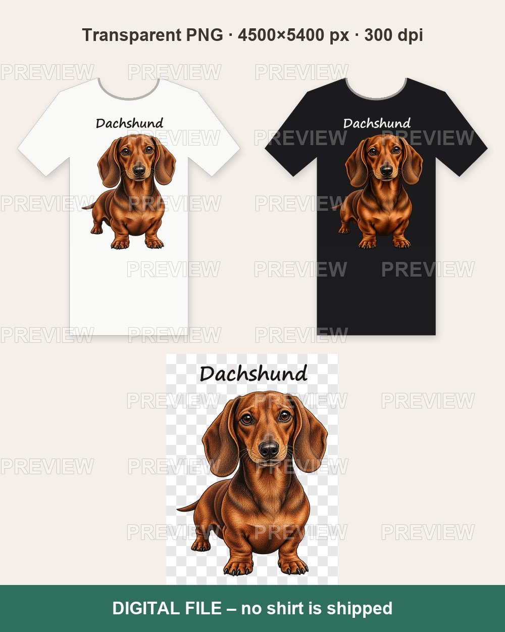 Dachshund Portrait – T-shirt design PNG