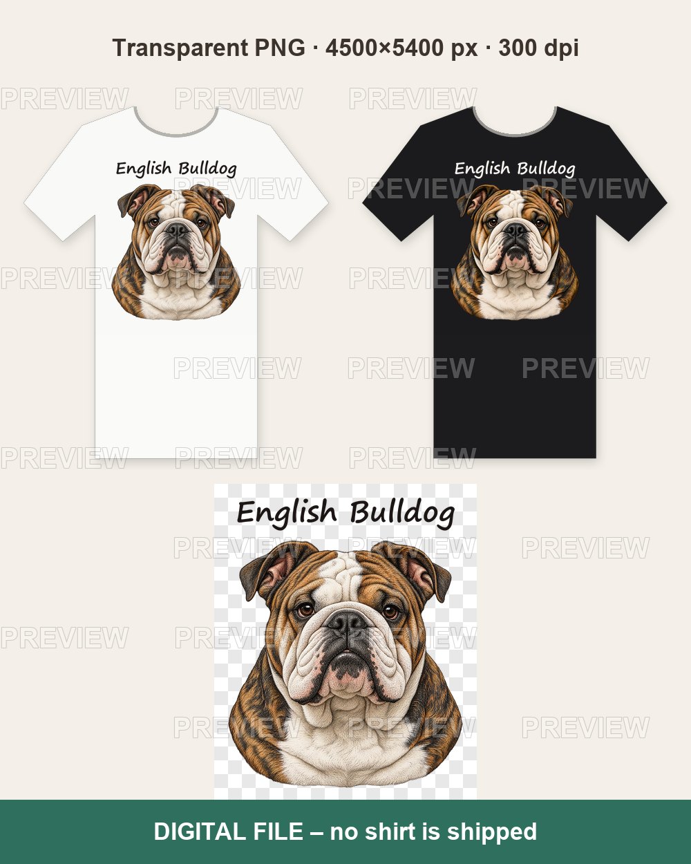 English Bulldog Portrait – T-shirt design PNG