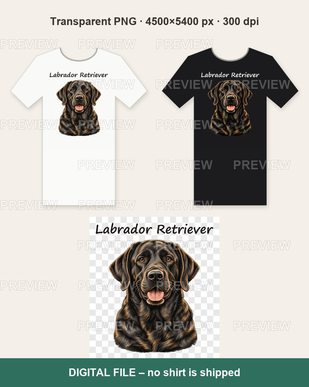 Labrador Retriever – T-shirt design PNG