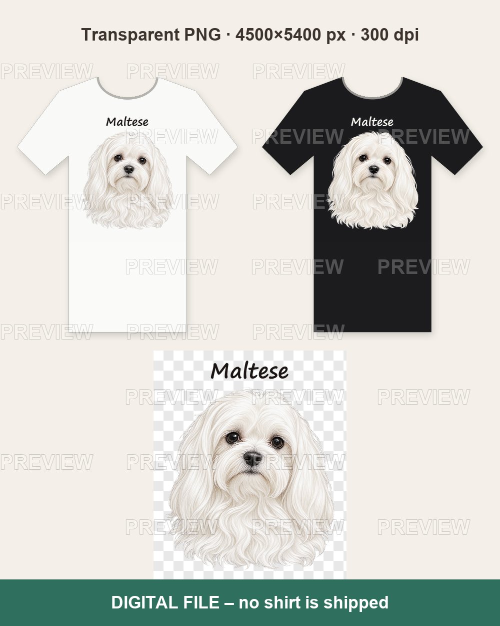 Maltese Portrait – T-shirt design PNG