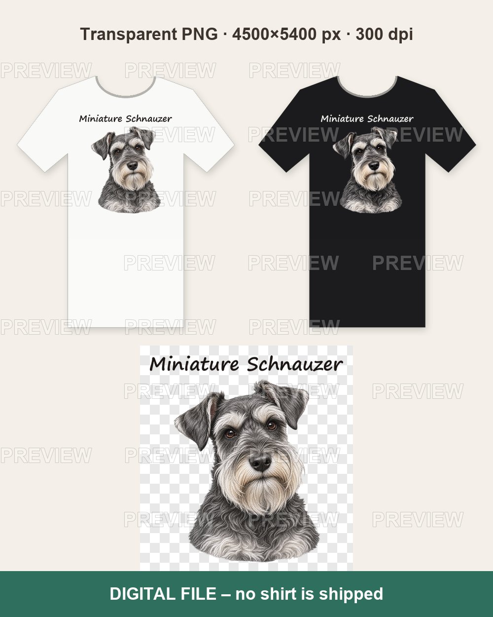 Miniature Schnauzer Portrait – T-shirt design PNG