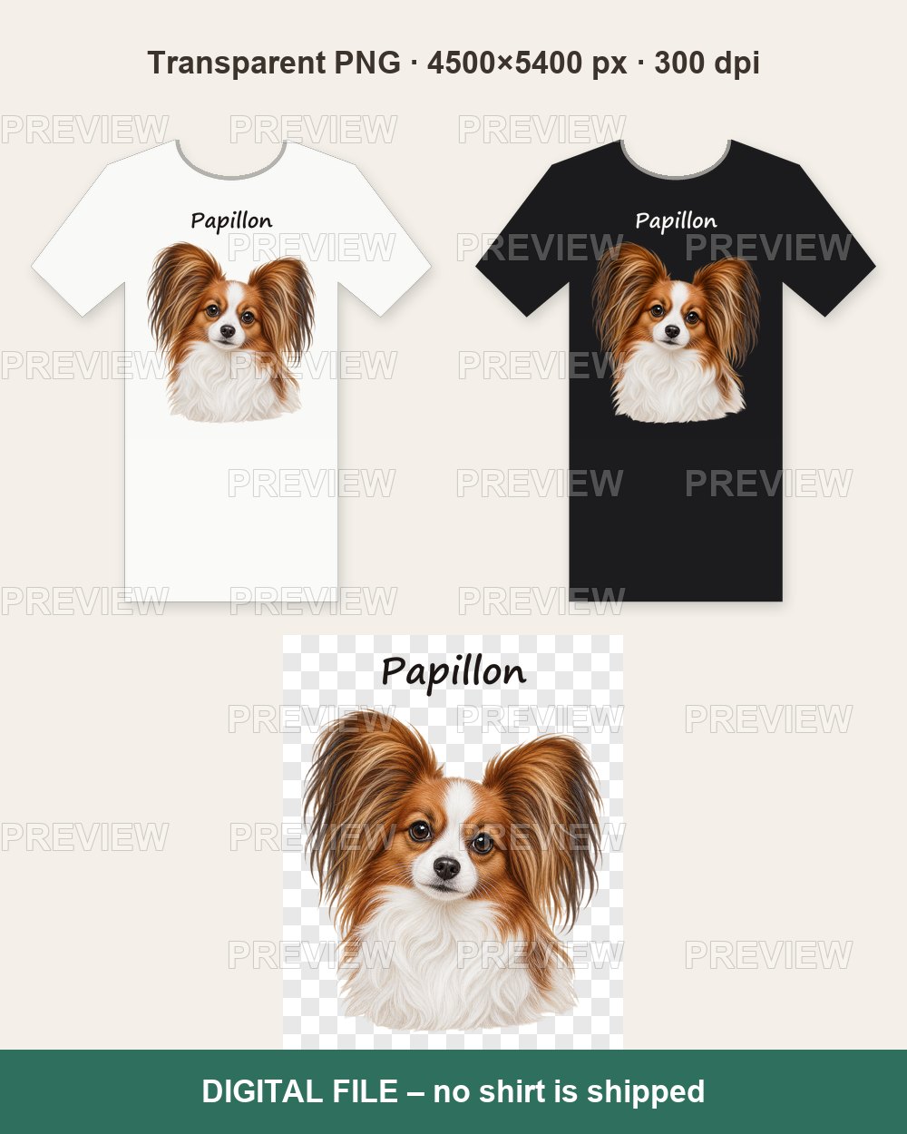 Papillon Portrait – T-shirt design PNG