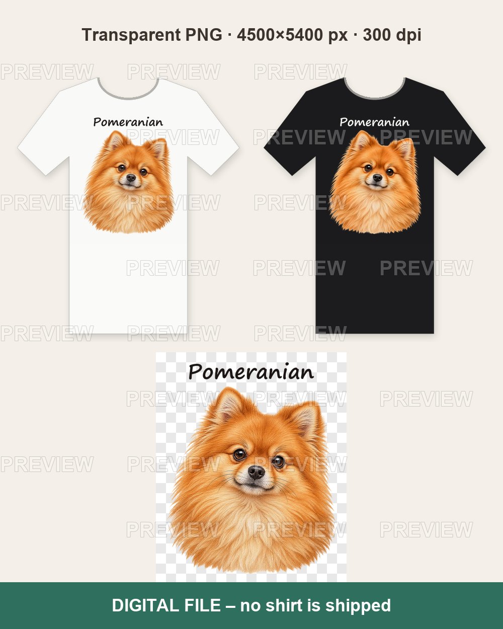 Pomeranian Portrait – T-shirt design PNG