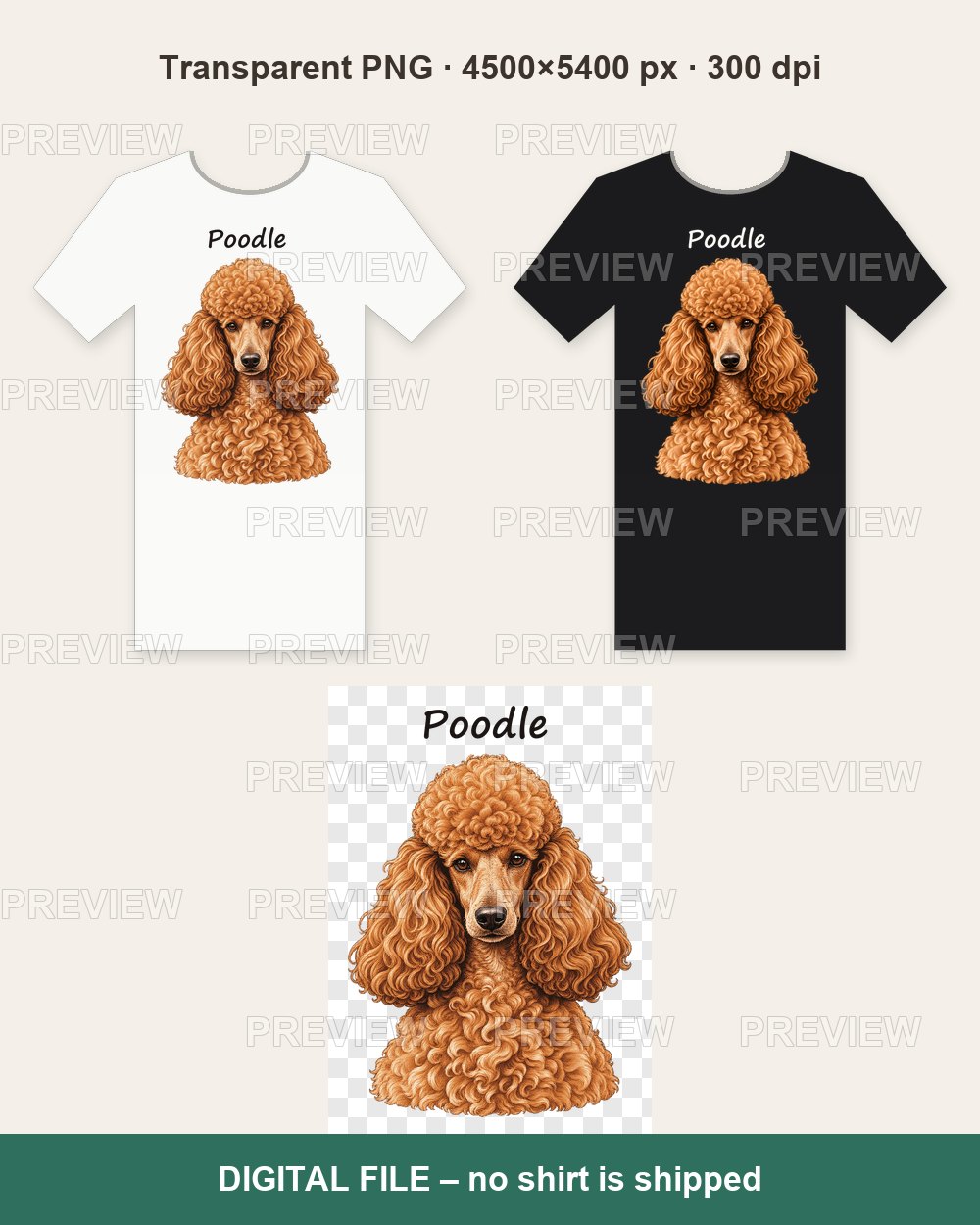 Poodle Portrait – T-shirt design PNG