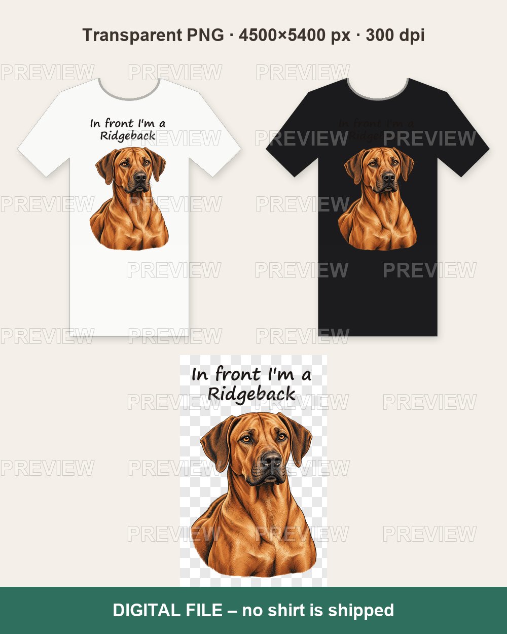 Rhodesian Ridgeback – T-shirt design PNG