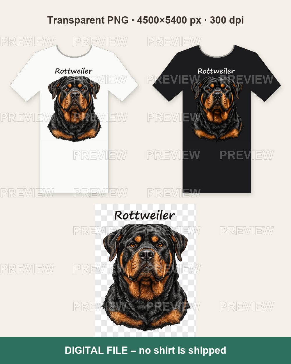 Rottweiler Portrait – T-shirt design PNG