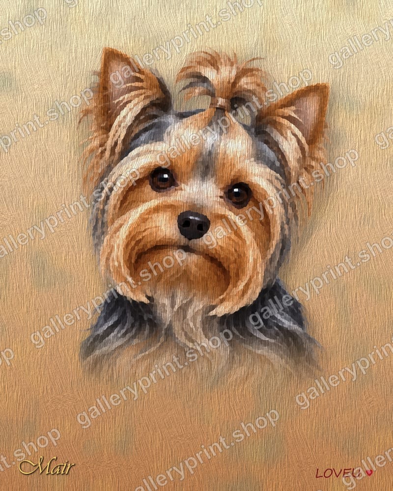 Yorkshire Terrier Oil Painting Portrait – printable wall art